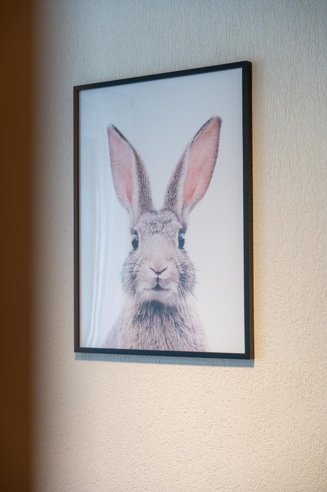 Special Roger F Rabbit 2 Apartment, Roche Towers, 10-star Basileia